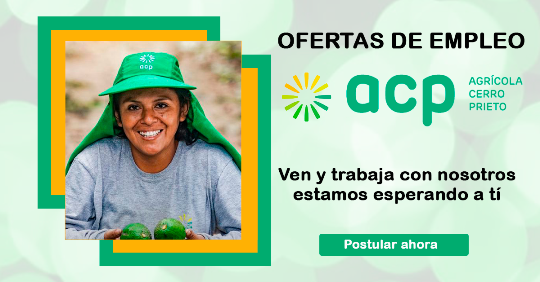 agricola Cerro Prieto, empleos, trabajos monta cargas, paltas