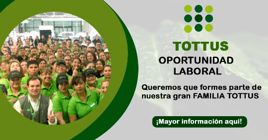 Totus Peru, Lima empleos Totus