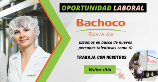 BOLSA DE TRABAJO EN MEXICO, empleos en mexico bachoco, avicola bachoco, trabaja en bachoco, bachoco empresa internacional en produccion de huevos