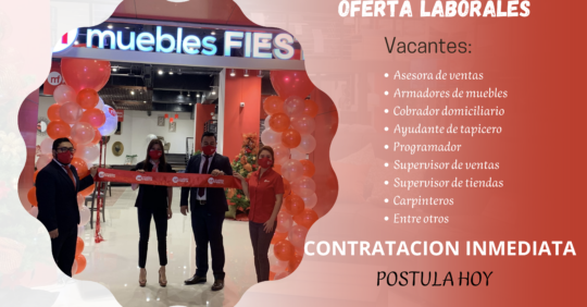 TRABAJOSENMUEBLESFIESTA