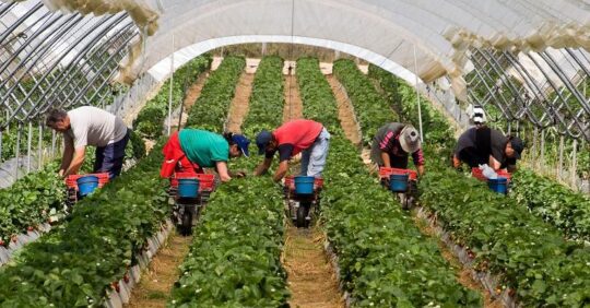 TRABAJOSENAGRICULTURA
