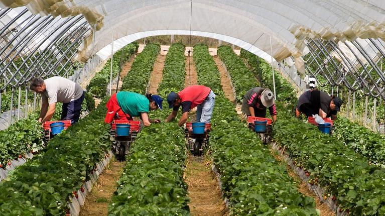 TRABAJOSENAGRICULTURA