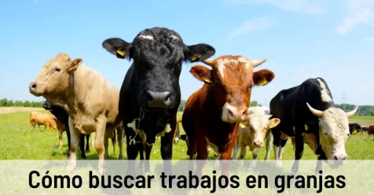 TRABAJOSENGRANJAS