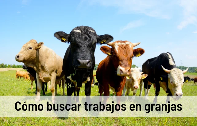 TRABAJOSENGRANJAS