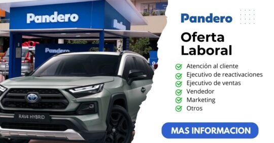 Bolsa de trabajo pandero