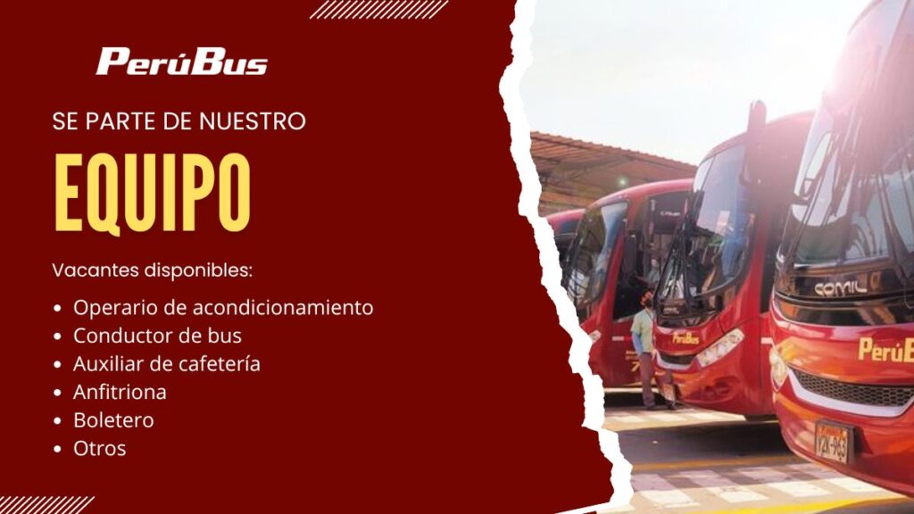 Perú Bus Convocatoria de Trabajo para Conductores y Choferes