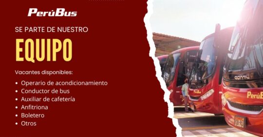 Perú Bus Convocatoria de Trabajo para Conductores y Choferes