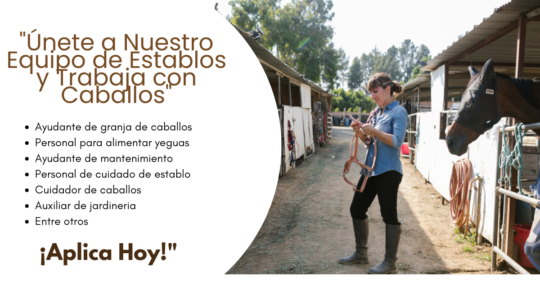 TRABAJOSENESTABLOS