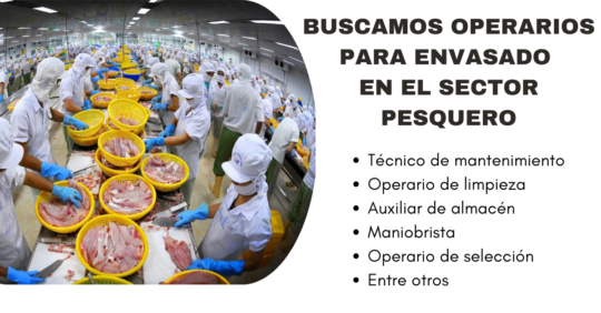TRABAJOSDEENVASADODEPESCADO
